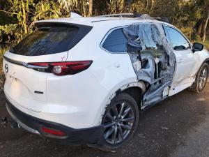 2017 Mazda Cx9 image 2