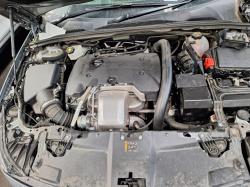 Holden image 3