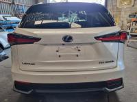 2019 Lexus Nx300h LUXURY image 3