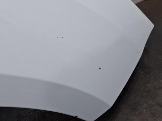 ford Focus 2013 RIGHT GUARD
