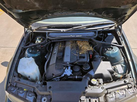 bmw 323ci 3’ E46 COUPE 323CI M52TU MANUAL 1999/08 Aug 1999 Parts & Wrecking