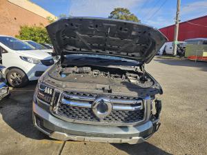 2024 Gwm Cannon Alpha Ultra P05 2.4DT GW4D24 AUTO 9SPD 4WD DUAL CAB LUX image 3