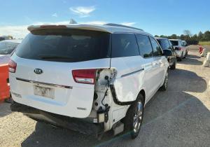 Kia Carnival image 3