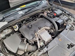 Holden image 4