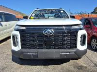 2024 Ldv T60 image 4