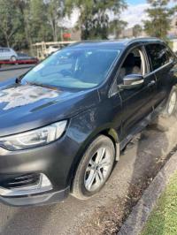 2020 Ford Endura image 4