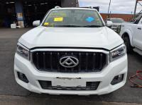 2020 Ldv T60 PRO image 4