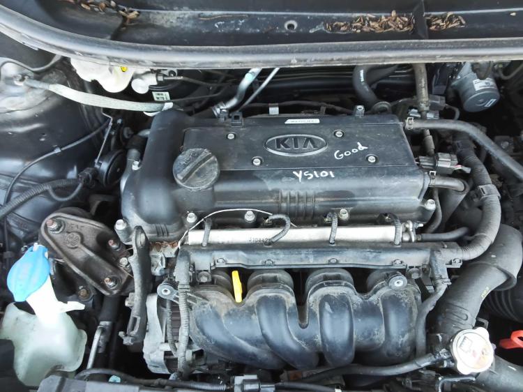 kia Rio S Feb 2014 Parts & Wrecking
