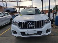 2020 Ldv T60 image 4