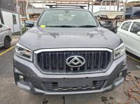 2021 Ldv T60 image 4