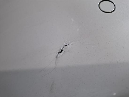 ford Mondeo MD Jan 2017 REAR BUMPER 