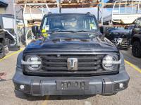 2023 Gwm Tank 300 image 4