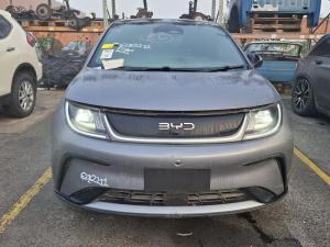 2025 Byd Dolphin image 4