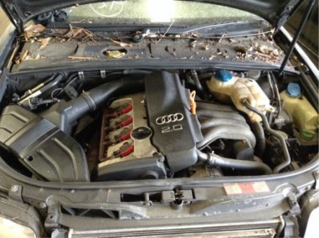 audi A4 B6 2003 Parts & Wrecking