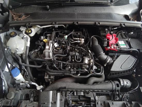 ford Puma JK 2022 Parts & Wrecking