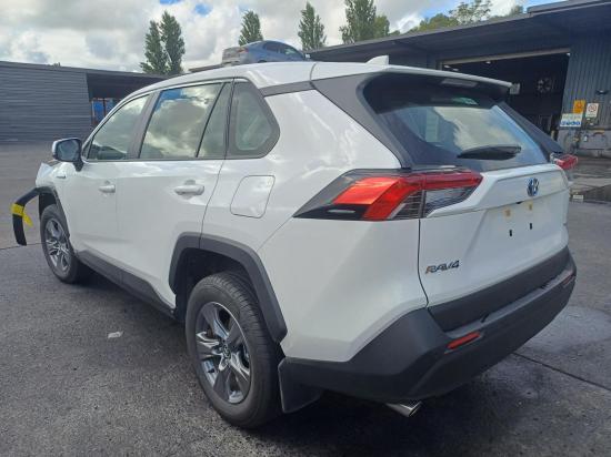 toyota Rav4 AXAH52R Jun BOOTLID/TAILGATE 