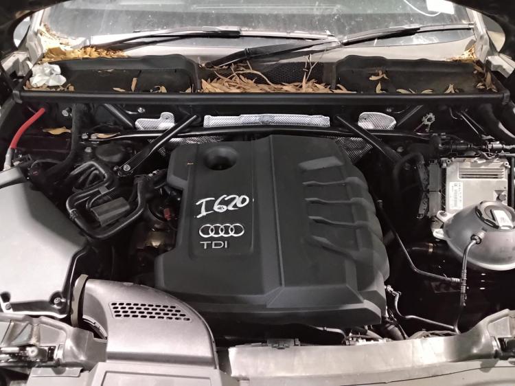 audi Q5 TDI QUATTRO Nov 2018 Parts & Wrecking