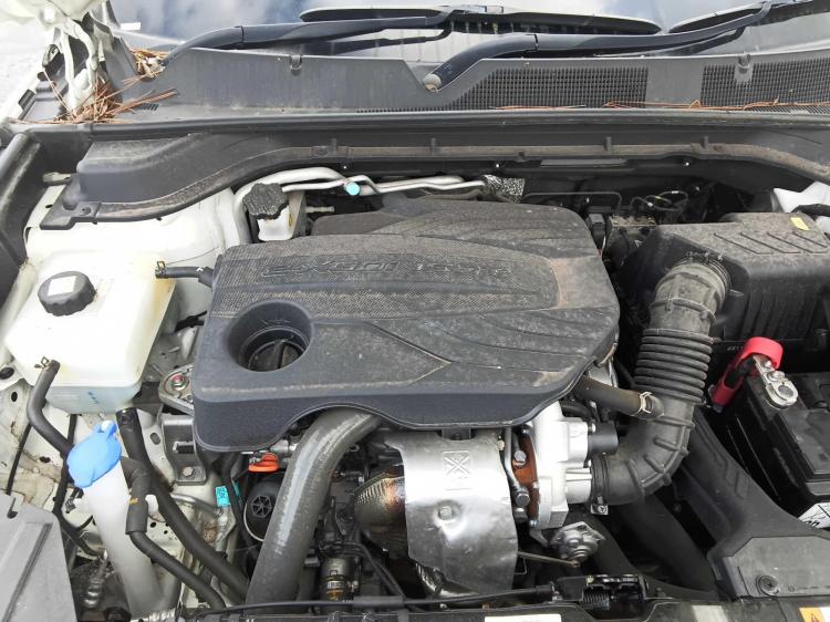 ssangyong Korando ULTIMATE Oct 2021 Parts & Wrecking