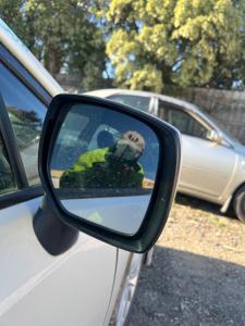 2014 Subaru Impreza G4 image 5