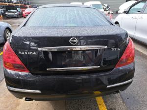 2007 Nissan Maxima J31 image 5