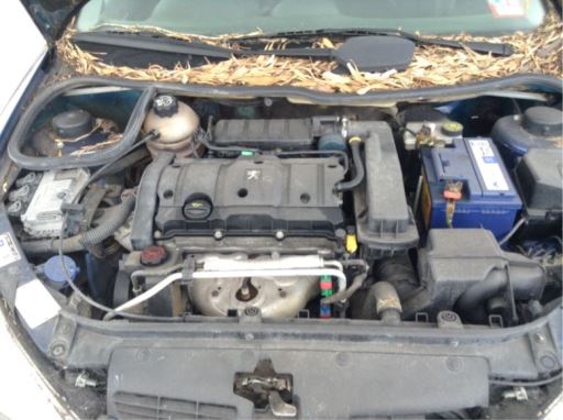 peugeot 206 1.4L TU5JP4 2006 Parts & Wrecking