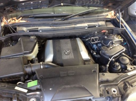 bmw X5 E53 2002 Parts & Wrecking