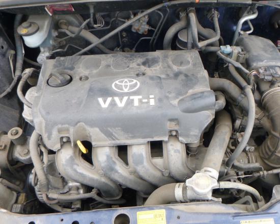 toyota Echo 2003 Parts & Wrecking