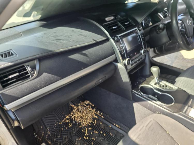toyota Camry AVV50 ALTISE HYBRID Jan 2017 Parts & Wrecking