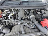 2017 Ford Ranger PX SERIES 2 XL HI-RIDER image 6