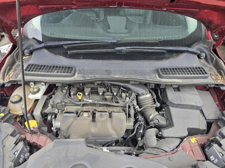 ford Escape ZG TITANIUM Oct 2017 Parts & Wrecking