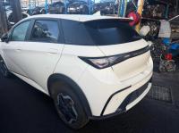 2023 Byd Dolphin image 6