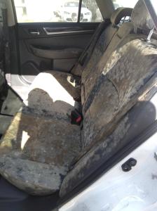 2016 Subaru Outback 6TH GEN image 6
