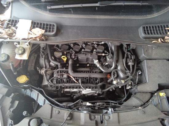 ford Escape ZG TREND FWD Feb 2019 Parts & Wrecking