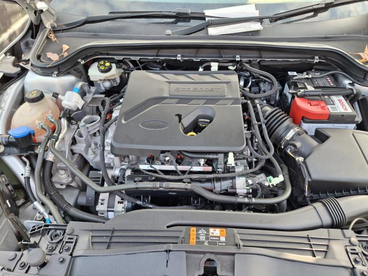 ford Focus ACTIVE Jan 2019 Parts & Wrecking