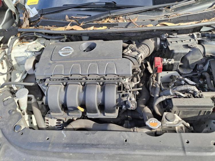 nissan Pulsar B17 Jan 2015 Parts & Wrecking