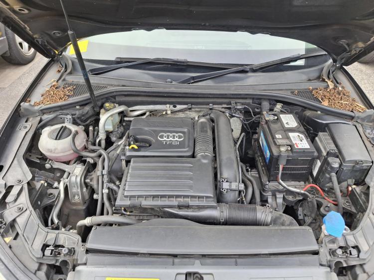 audi A3 8V May 2014 Parts & Wrecking