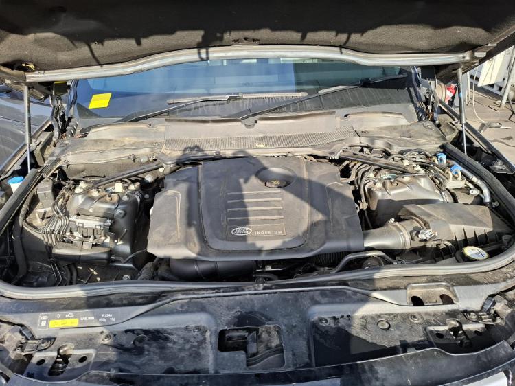 land rover Discovery SERIES 5 Aug 2019 Parts & Wrecking