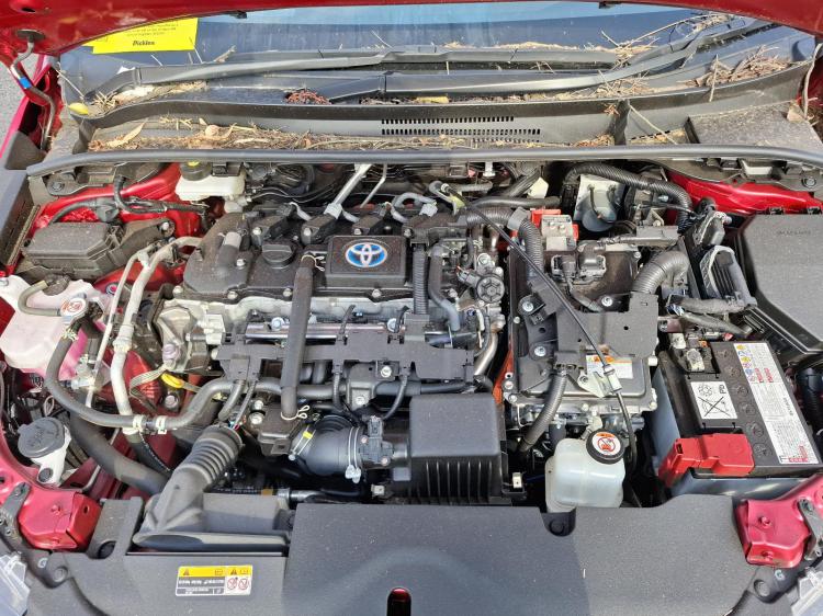 toyota Corolla ZWE211R Oct 2023 Parts & Wrecking