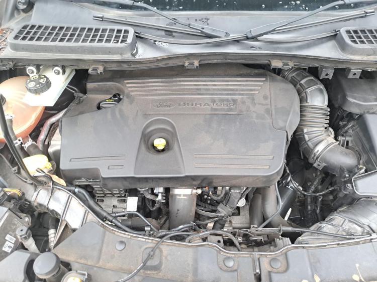 ford Escape ZG Mar 2018 Parts & Wrecking