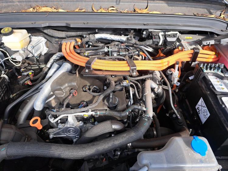 gwm Tank 300 Aug 2022 Parts & Wrecking