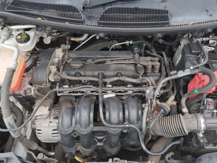 ford Fiesta WZ Nov 2015 Parts & Wrecking