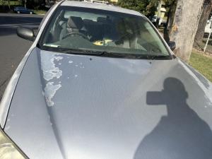 2004 Toyota Camry image 7