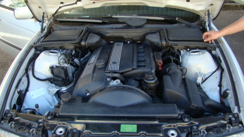 bmw 525i May 2003 Parts & Wrecking