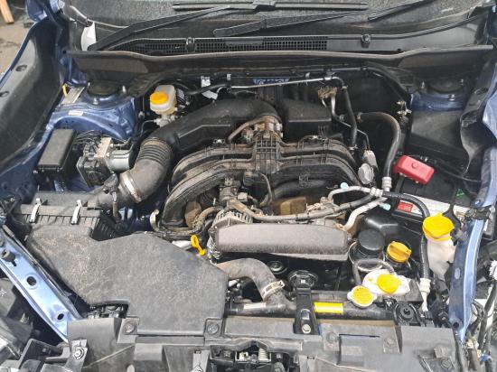 subaru Forester Oct 2019 Parts & Wrecking