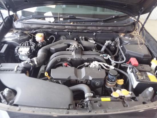 subaru Outback 6TH GEN 2.5I PREMIUM Feb 2018 Parts & Wrecking