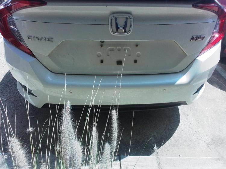 honda Civic 10TH GEN Sep 2016 Parts & Wrecking