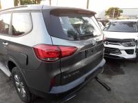 2020 Ldv D90 MODE image 8