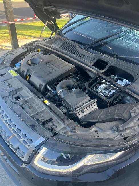 range rover Evoque L538 Feb 2017 Parts & Wrecking