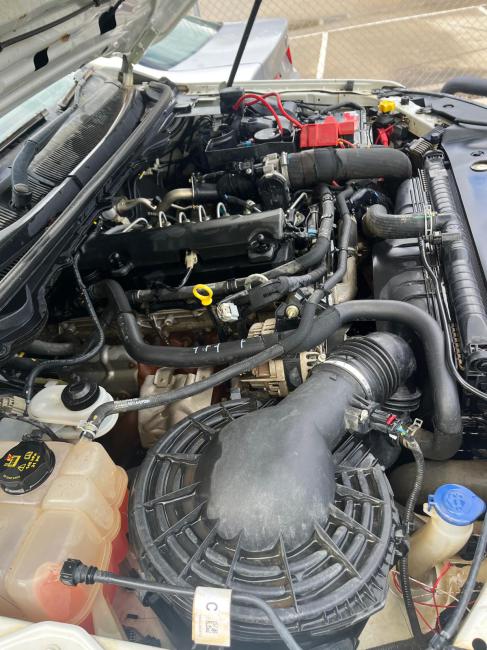 ford Ranger PX2 Aug 2017 Parts & Wrecking